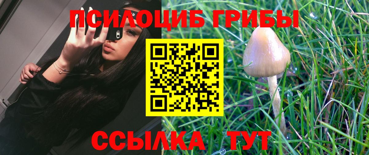Галлюциногенные грибы GOLDEN TEACHER Павлово