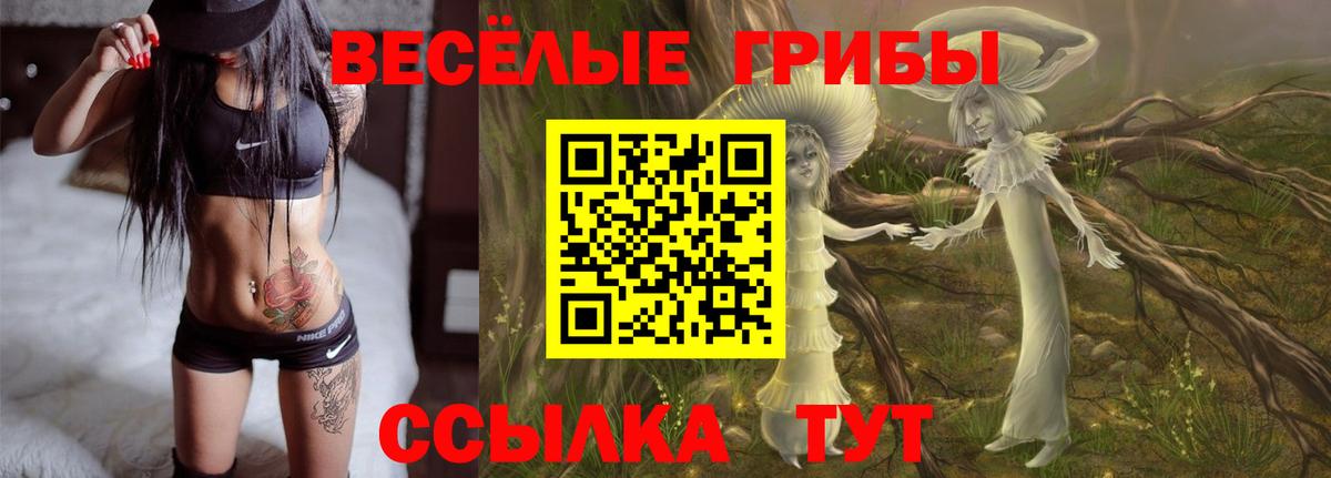 Псилоцибиновые грибы GOLDEN TEACHER  Галлюциногенные грибы мицелий  Павлово  Вход с VPN 